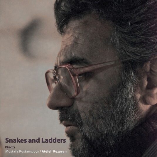 Snakes and Ledders